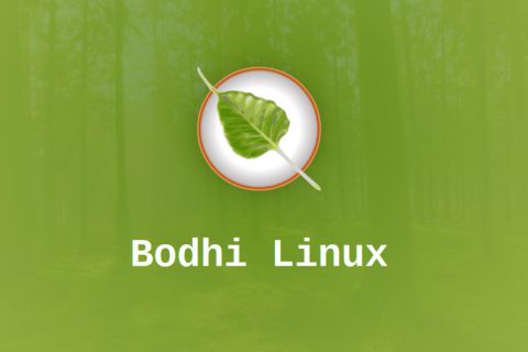 Image: bodhi/bodhi-logo.jpg